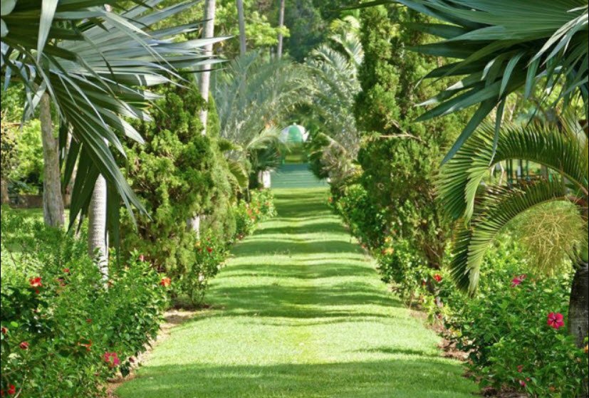 Botanical Gardens, St. Vincent & Grenadines